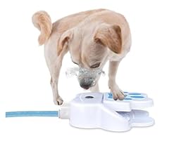Better paw shape for sale  Delivered anywhere in UK