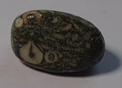 Large crinoid fossil for sale  Delivered anywhere in UK