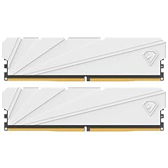 Netac 32gb ddr4 gebraucht kaufen  Wird an jeden Ort in Deutschland