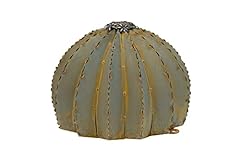 Desert steel golden for sale  Delivered anywhere in USA 