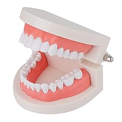 Lvchen standard dental for sale  Delivered anywhere in USA 