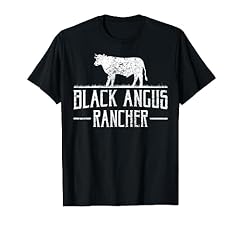 Black angus cow for sale  Delivered anywhere in USA 