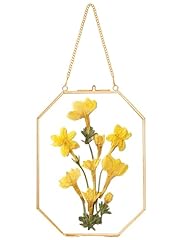 Redhugo pressed flower for sale  Delivered anywhere in USA 