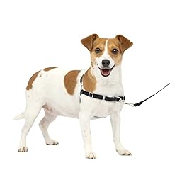 Petsafe easy walk d'occasion  Livré partout en France