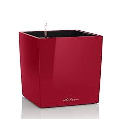 Lechuza pot fleurs d'occasion  Livré partout en France