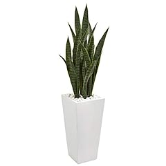 Nearly natural sansevieria for sale  Delivered anywhere in USA 
