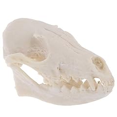 Imikeya fox skull for sale  Delivered anywhere in UK