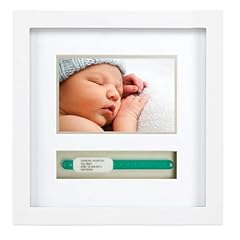 Pearhead p63012 cornice usato  Spedito ovunque in Italia 