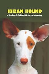 Ibizan hound beginner for sale  Delivered anywhere in UK