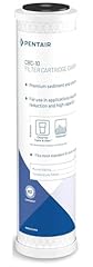 Pentair pentek cbc for sale  Delivered anywhere in USA 