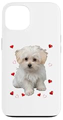 Iphone maltese dog for sale  Delivered anywhere in USA 