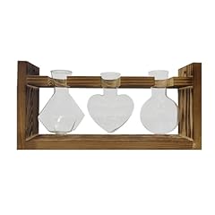 Glass plant terrarium for sale  Delivered anywhere in USA 