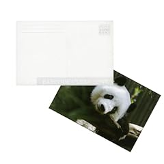 Photographer edge photo for sale  Delivered anywhere in USA 