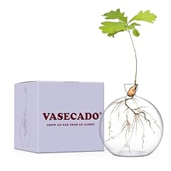 Vasecado vase acorn for sale  Delivered anywhere in UK