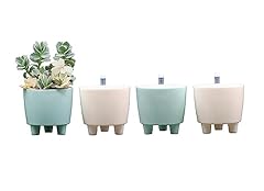 Selfwatering mini planters for sale  Delivered anywhere in USA 