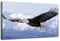 Afle bald eagle for sale  Delivered anywhere in USA 