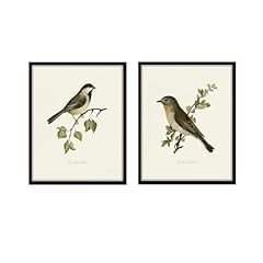 Vintage birds print for sale  Delivered anywhere in USA 