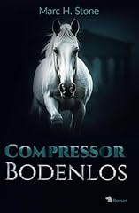 Compressor bodenlos usato  Spedito ovunque in Italia 