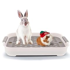 Kathson rabbit litter for sale  Delivered anywhere in USA 