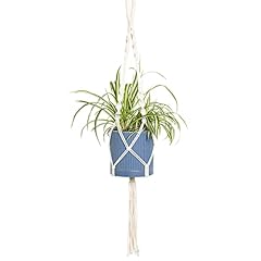 Greendigs spider plant for sale  Delivered anywhere in USA 