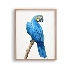 Royolam blue macaw for sale  Delivered anywhere in USA 