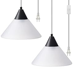 Dewenwils hanging pendant for sale  Delivered anywhere in USA 