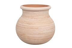 Biscottini vaso terracotta usato  Spedito ovunque in Italia 