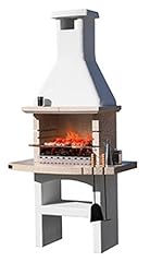 Sun day barbecue usato  Spedito ovunque in Italia 