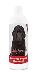 Healthy breeds newfoundland for sale  Delivered anywhere in USA 
