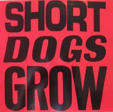 Short dogs grow for sale  Delivered anywhere in USA 