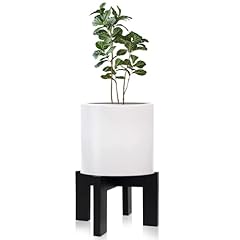 Hismocal wood plant for sale  Delivered anywhere in USA 