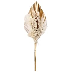 Boho pampas grass for sale  Delivered anywhere in UK
