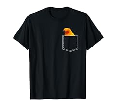 Pocket sun conure usato  Spedito ovunque in Italia 