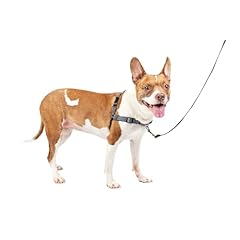 Petsafe easy walk for sale  Delivered anywhere in USA 