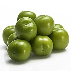 Fresh green plum for sale  Delivered anywhere in USA 