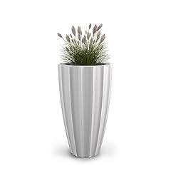 Mayne inc. sedona for sale  Delivered anywhere in USA 