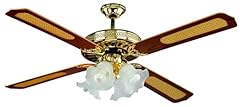 Bauer ventilatore soffitto usato  Spedito ovunque in Italia 