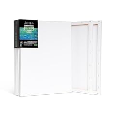 Elan toile peinture d'occasion  Livré partout en France