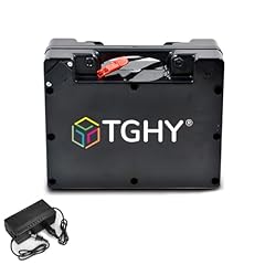Tghy elektrorollstuhlbatterie  gebraucht kaufen  Wird an jeden Ort in Deutschland