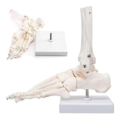 Ronten human foot for sale  Delivered anywhere in UK