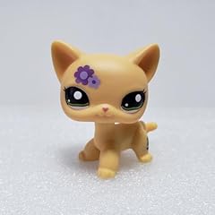 Mini pet toys for sale  Delivered anywhere in USA 