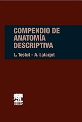 Compendio anatomía descriptiv usato  Spedito ovunque in Italia 