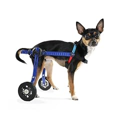 Dog wheelchair mini for sale  Delivered anywhere in USA 