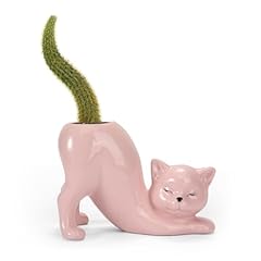 Toivo cat planter for sale  Delivered anywhere in USA 