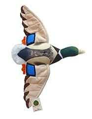 Adore drake mallard for sale  Delivered anywhere in USA 