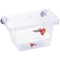 Netspower fish breeding for sale  Delivered anywhere in UK