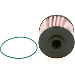 Bosch n2120 filtro usato  Spedito ovunque in Italia 