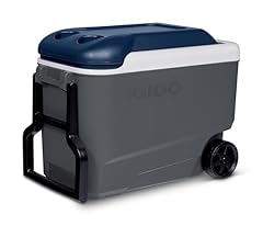 Igloo maxcold 40qt for sale  Delivered anywhere in UK