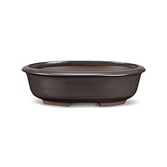 Certrè vaso bonsai usato  Spedito ovunque in Italia 