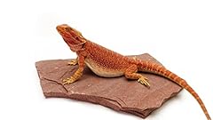 Carolinacustomcages natural ha for sale  Delivered anywhere in USA 